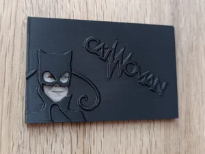 ID Card case/cover - CatWomen