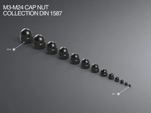 M3-M24 Cap Nut Collection DIN 1578