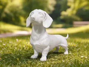 Cute Dachshund, Sausage Dog. Animal