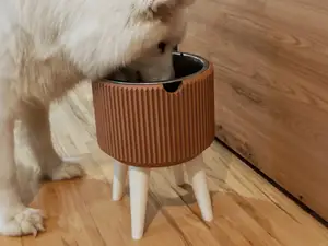 Dog food and water bowl raiser stand