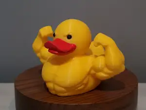 GymBro Duck, Gym Duck, Cruise Jeep Duck