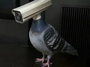 CCTV Camera Pigeon Meme | 3D Print STL