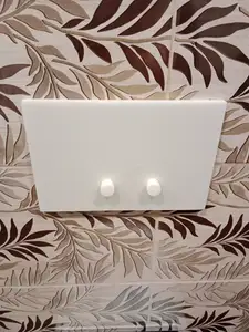 WC GEBERIT button