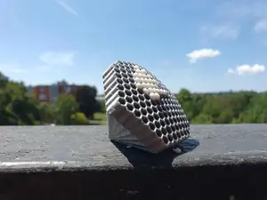 Fake Wasp Nest with Brood Inserts