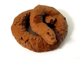 Real poop prank