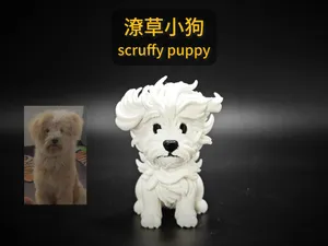 潦草小狗 scruffy puppy