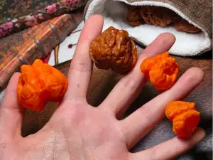 赛博蛤蟆头 文玩核桃