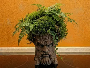 Old Man Tree - Compact planter o desktop organizer
