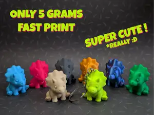 Cute Mini Triceratops + Keychain
