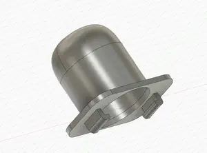 Pacifier plug