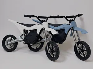 Mini ETM RTR Lite E-bike | Electric Dirt Bike