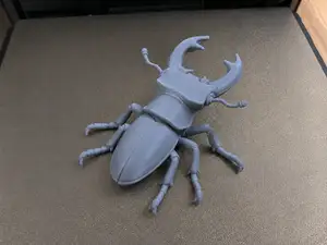Stag Beetle Collectible STL