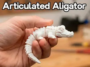 Articulated Aligator