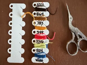Embroidery Floss Project Card (6 colors)