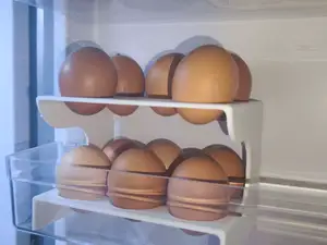 EGG HOLDER
