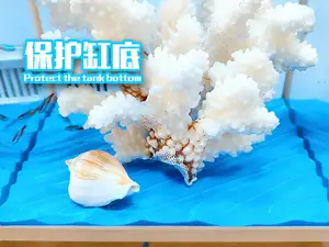 小米鱼缸 波浪水纹造景 缸底保护垫板