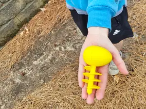 Prank Easter Egg