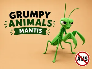 Grumpy Mantis