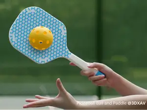 Pickleball Ball and Paddle