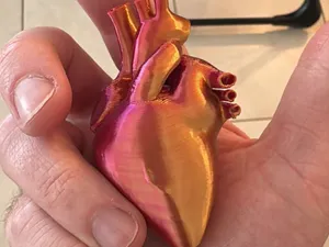 Real Human Heart