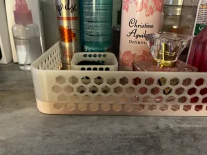 Organizer