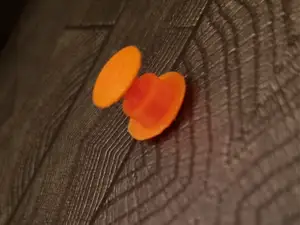 Croc Clip
