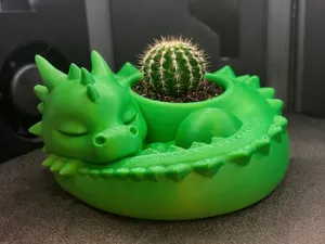 Sleep Dragon Planter