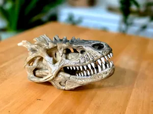 Dinosaur Skull Exhibit