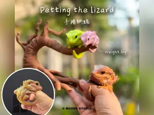解压手撸蜥蜴(撸累了趴树上歇会）