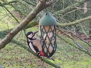 Bird Feeder Suet Ball
