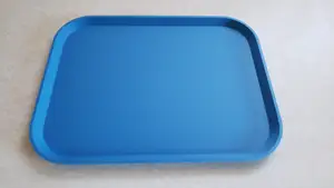 Play Food Tray