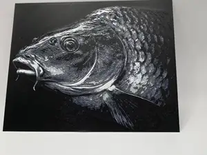 common carp huforge