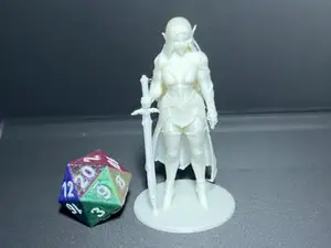 D&D-Elfe-Kriegerin
