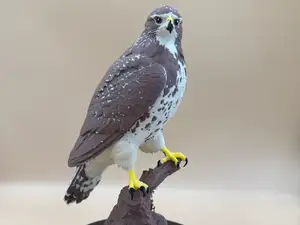 The Perchmaster Hawk