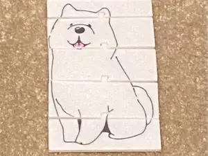 Shibi Inu Flexi