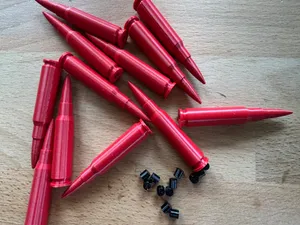 Dummy Rounds .308 / Manipulationspatrone (ManiPat)