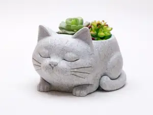 Traeumende Katzen-Oase als Pflanztopf