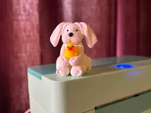 Dog Towel Animal Holding Duck
