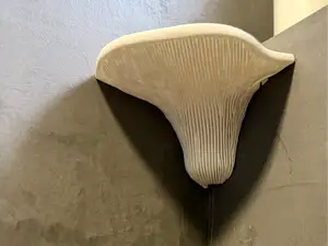 Realistic Mushroom per angoli