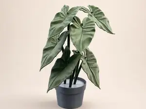 Realistic Alocasia Plant – Easy Assembly Decor