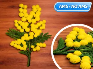Mimosa (with 3D Flowers) – Women’s Day - March 8