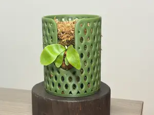 叶形镂空鹿角蕨、空气凤梨种植杯子
