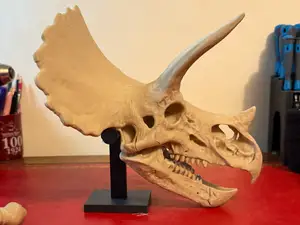 Triceratops Skull Display Stand (Press-Fit)