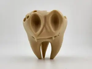 kawaii cute tooth