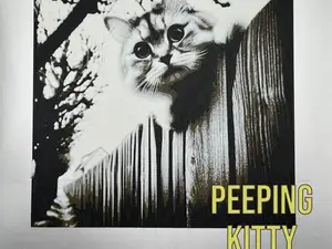 Peeping Kitty