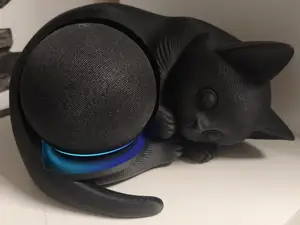 Echo Dot 5 Katze
