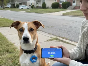 Customizable NFC Tag for Dogs