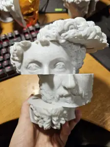 Sliding Marcus Aurelius Bust