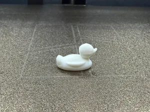 DUCK 10 MIN TEST PRINT