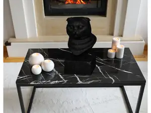 Cat Bust - Scottish Fold